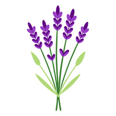 Naklejka premium bouquet of spring flowers