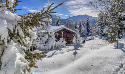 Fototapeta premium winter landscape in alpine french mountain covered with snow under blue sky and snowy chalet in fir trees