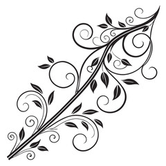 Flourish ornate header. Decorative calligraphic vintage divider