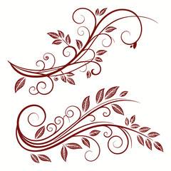 Flourish ornate header. Decorative calligraphic vintage divider