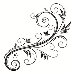 Flourish ornate header. Decorative calligraphic vintage divider