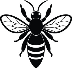 vector illustration of a bee