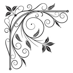 Flourish ornate header. Decorative calligraphic vintage divider