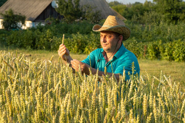 A farmer in a straw hat inspects wheat stalks in a vast field at sunset. The warm light reflects...