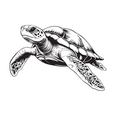 Fototapeta premium sketch vector of a turtle, featuring detailed lines and natural curves that highlight the beauty of this marine reptile