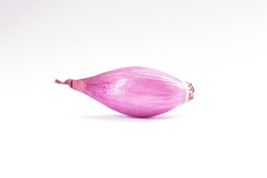 A single, whole shallot bulb rests against a plain white background.