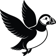 Obraz premium duck isolated on white background