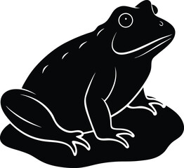 vector illustration of a frog