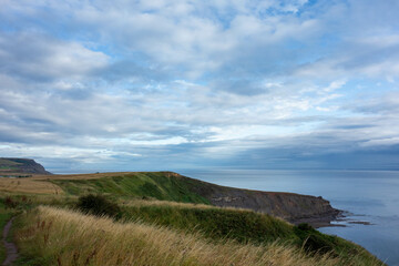 Clifftop,  Whitby, North Yorkshire, UK , Coast, Sea 