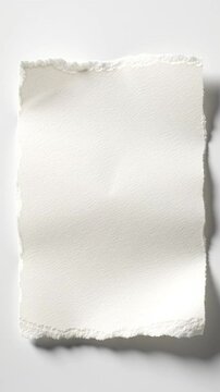 Pristine off-white hand-torn paper with natural textures and deckled edges, isolated on a transparent background with generous negative space, presented in an overhead wide video with a slow push-in,
