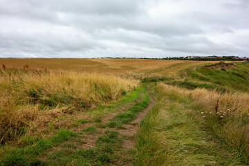 Clifftop,  Whitby, North Yorkshire, UK , Coast, Sea 