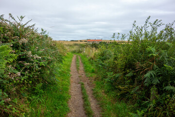 Obraz premium Clifftop, Whitby, North Yorkshire, UK , Coast, Sea 