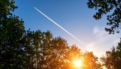 Sunset plane trail through trees