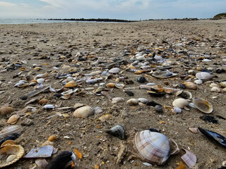 Am Hvidbjerg Strand von Blavand