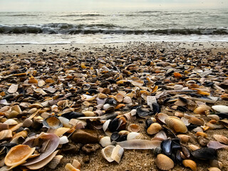 Am Hvidbjerg Strand von Blavand