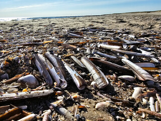 Am Hvidbjerg Strand von Blavand