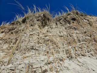 Am Hvidbjerg Strand von Blavand