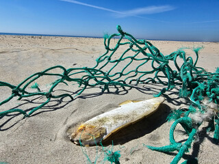 Am Hvidbjerg Strand von Blavand