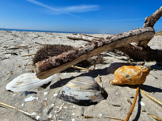 Am Hvidbjerg Strand von Blavand