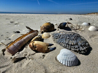 Am Hvidbjerg Strand von Blavand