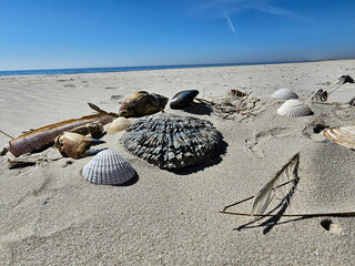 Am Hvidbjerg Strand von Blavand
