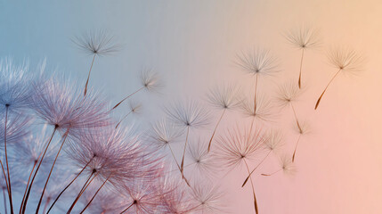 Dandelion seeds floating midair, minimal pastel background