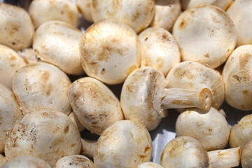 Fresh champignon mushrooms at the market, Mallorca.