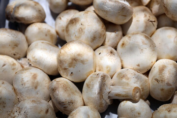 Fresh champignon mushrooms at the market, Mallorca