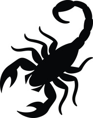 scorpion isolated on white background