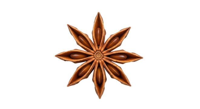 Eightpointed star anise spice pod