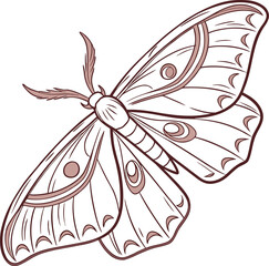 Isolated on white, this beautiful black and yellow swallowtail butterfly vector illustration showcases its delicate wings and natural beauty