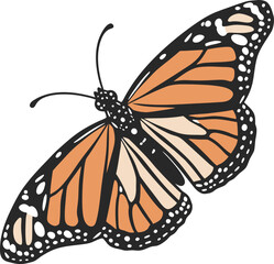 Here's a single sentence to describe the image:

Monarch butterfly isolated on white with orange wings, a vibrant insect of summer nature