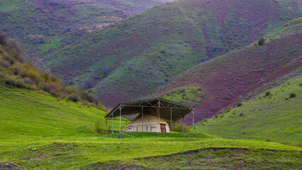 Yurt under metal shelter in serene hilly landscape