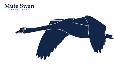 A Blue Mute Swan Bird Vector Illustration.