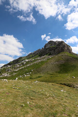 mountain peak in northern Montenegro. green lawn at the foot of the mountain
