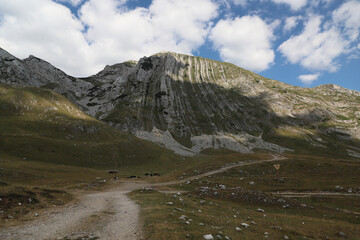 View of the mountain Berg Prutas, vertical photo, panorama. Montenegro, Durmitor National Park