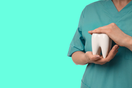 Hands holding a tooth model while discussing dental health