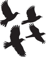 Four birds flying in formation against a white background silhouette