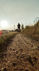 Cyclist rides mountain bike sunset trail rural field. Young man riding on bike in the countryside. Back view. Active summer holidays.