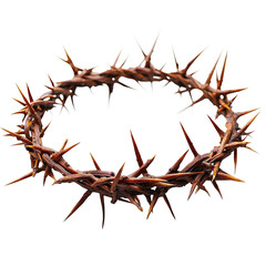 Front view of a crown of thorns isolated on a white transparent background.