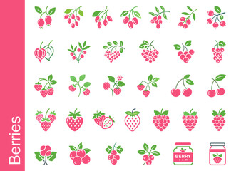 Various berries illustrated in colorful designs and styles  