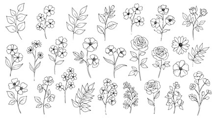 Elegant Floral Sketch Collection: An array of delicate botanical illustrations, showcasing the beauty of nature in simple yet intricate line art, inviting a sense of calm and aesthetic pleasure.