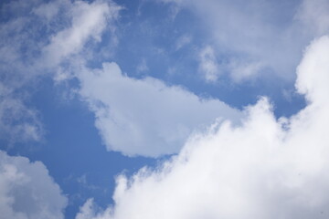 a large quantity of harvested longans, arranged in clusters on a wooden surface. The fruits have light brown skins and are known for their juicy, sweet, and aromatic flesh