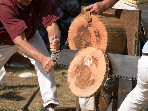 Crosscut saw competition