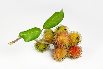 Rambutan fruit is a tropical fruit that has the scientific name Nephelium Laapaceum. This fruit has a delicious and sweet taste and contains many vitamins. isolated on white background