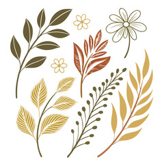 Autumnal botanical elements with floral accents leaves