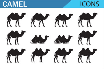 Icon Set of Camels – Perfect for Wildlife, Desert, and Animal-Themed Projects