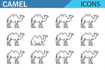 Various Camel Icons for Travel, Journey, and Nature Projects

