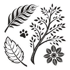 Obraz premium Black nature elements leaf tree paw print flower feather
