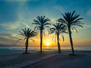 Seascape in the early morning during a beautiful sunrise. Palm trees on the beach. San Juan beach, Alicante, Spain